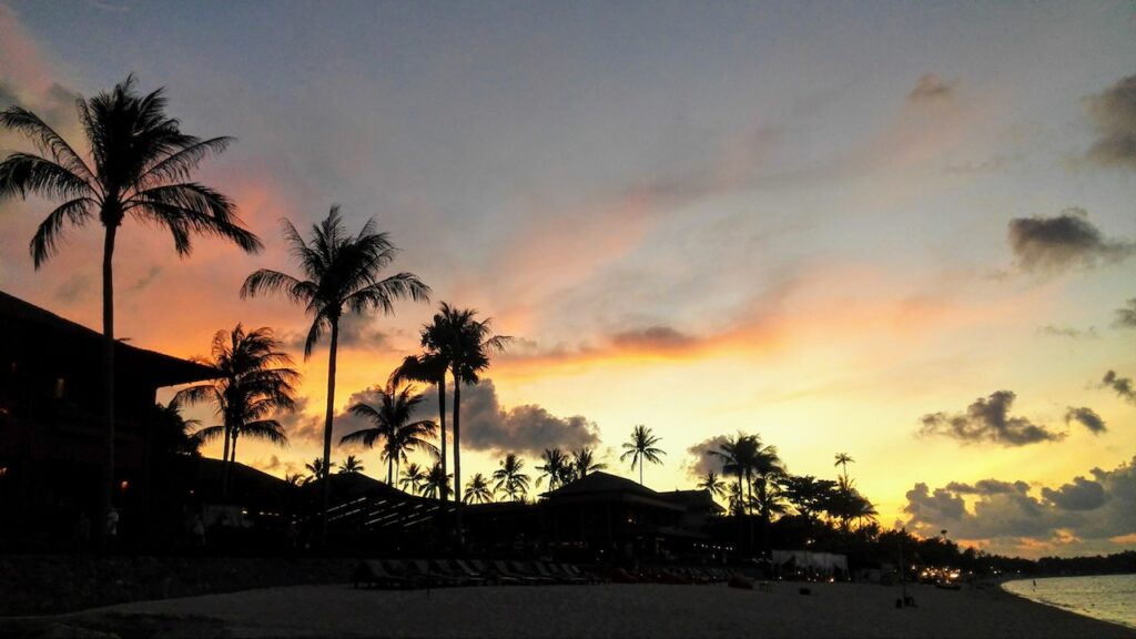 gingersplash_of_jellyfish